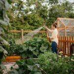 Frau bewässert Hochbeet im Gemüsegarten mit Wasser aus Regenzisterne – nachhaltige Gartenpflege